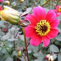 Picasa 2.7